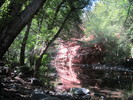 photo thumbnail #10