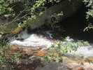 photo thumbnail #12