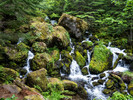 photo thumbnail #7