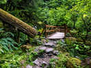 photo thumbnail #10