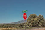 photo thumbnail #10