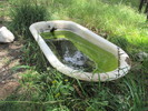 photo thumbnail #6