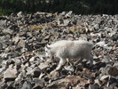 photo thumbnail #2