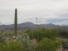 photo thumbnail #1