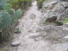 photo thumbnail #5