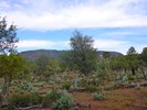 photo thumbnail #10