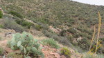 photo thumbnail #4