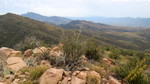 photo thumbnail #13