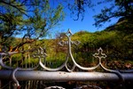 photo thumbnail #7