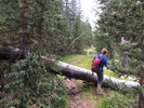 photo thumbnail #9