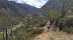 photo thumbnail #1