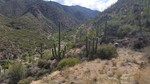 photo thumbnail #2