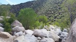 photo thumbnail #5