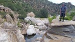 photo thumbnail #6