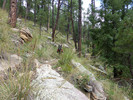 photo thumbnail #9