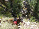 photo thumbnail #12