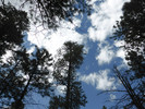 photo thumbnail #13