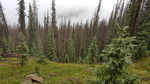 photo thumbnail #5