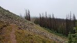 photo thumbnail #6