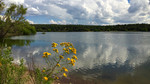 photo thumbnail #2