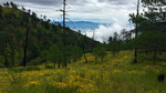 photo thumbnail #13