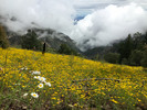 photo thumbnail #15