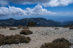 photo thumbnail #10
