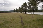 photo thumbnail #11
