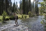 photo thumbnail #9