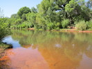 photo thumbnail #2