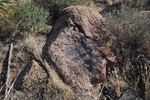 photo thumbnail #5