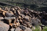 photo thumbnail #8