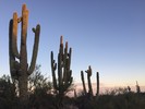 photo thumbnail #3