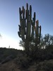 photo thumbnail #2