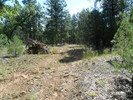 photo thumbnail #1