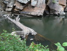 photo thumbnail #11
