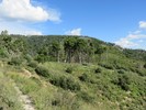 photo thumbnail #13