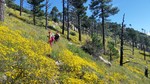 photo thumbnail #8