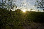 photo thumbnail #2