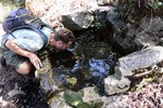 photo thumbnail #5