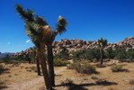 photo thumbnail #1