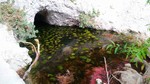 photo thumbnail #12