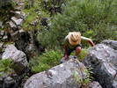 photo thumbnail #4