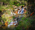 photo thumbnail #7