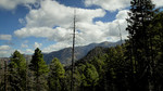photo thumbnail #12