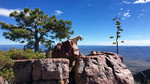 photo thumbnail #4