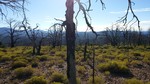 photo thumbnail #4