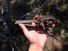 photo thumbnail #8