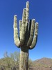 photo thumbnail #12