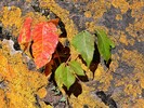 photo thumbnail #14
